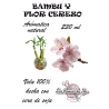 Vela artesanal con aroma a bambú y flor de cerezo | Las cosucas de Yai