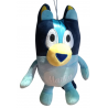 Peluche Bluey Personalizado con Nombre | Lascosucasdeyai