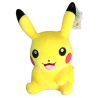 Peluche Pikachu Personalizable con Vinilo Textil | Lascosucasdeyai