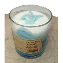 Vela Brisa del Paraíso 230ml | Frescura +35h
