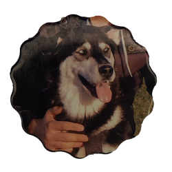 regalos, regalos personalizados, únicos, bebes, recién nacidos navidad